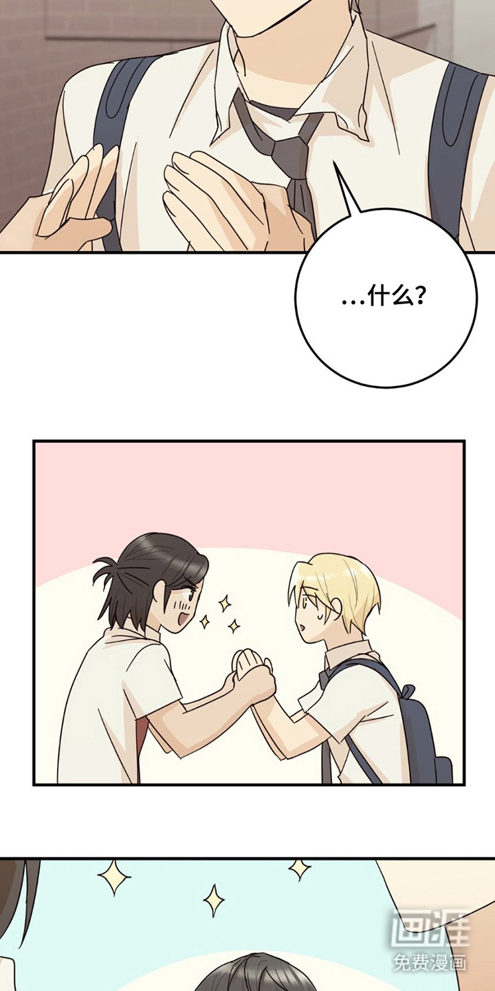第19章：真相