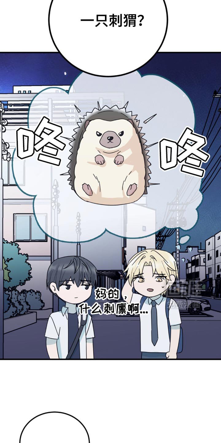 第20章：一无所获