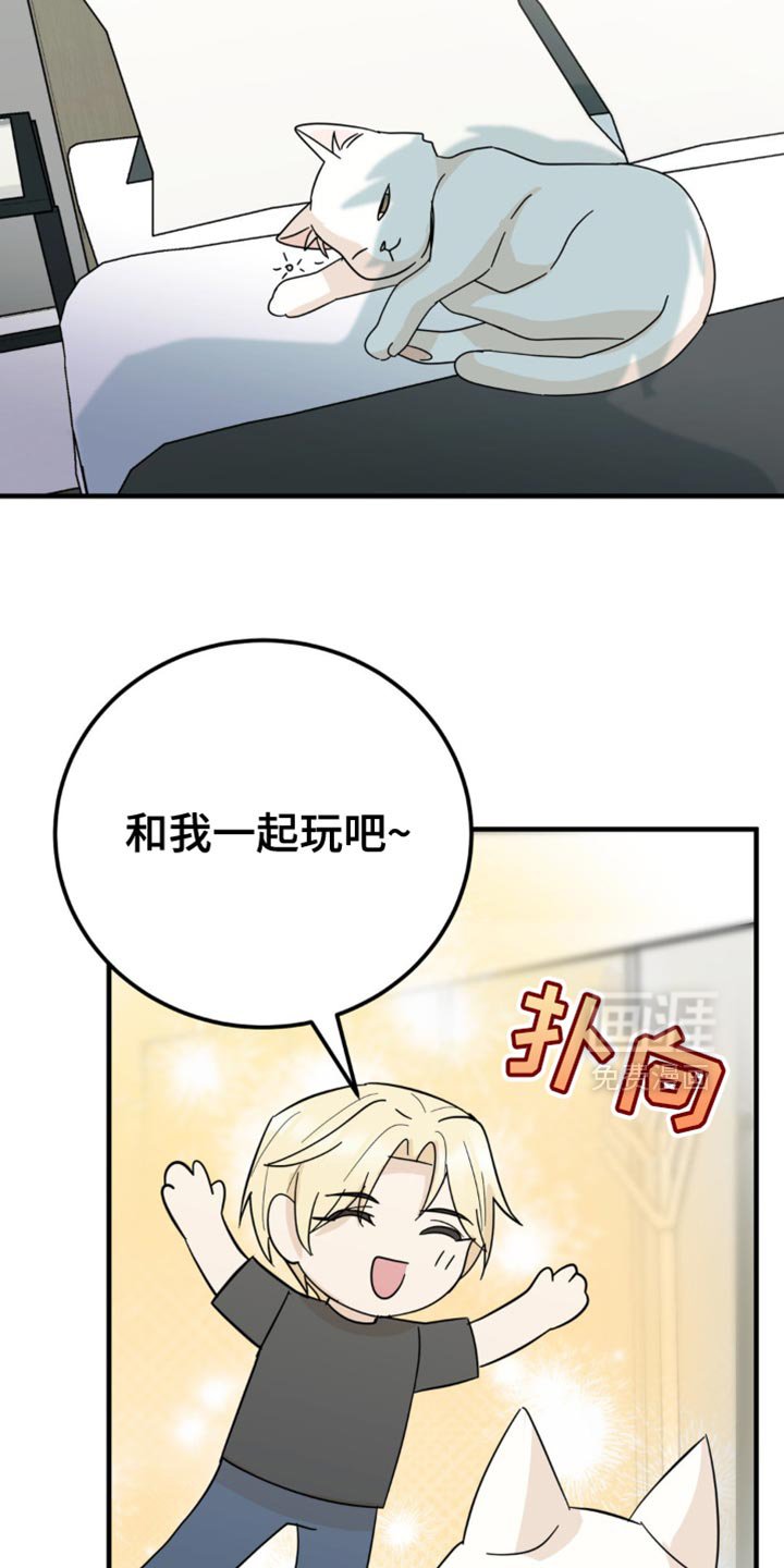 第21章：告白？
