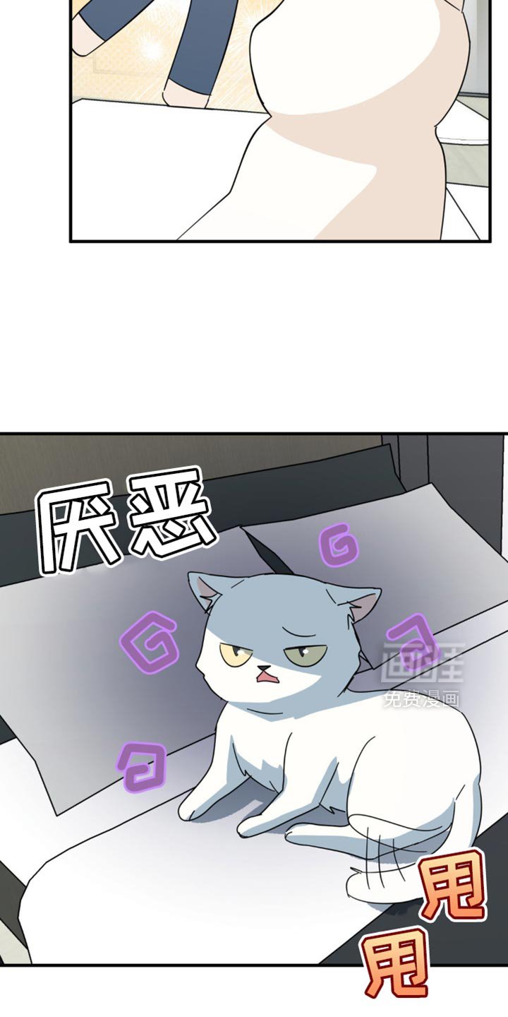 第21章：告白？