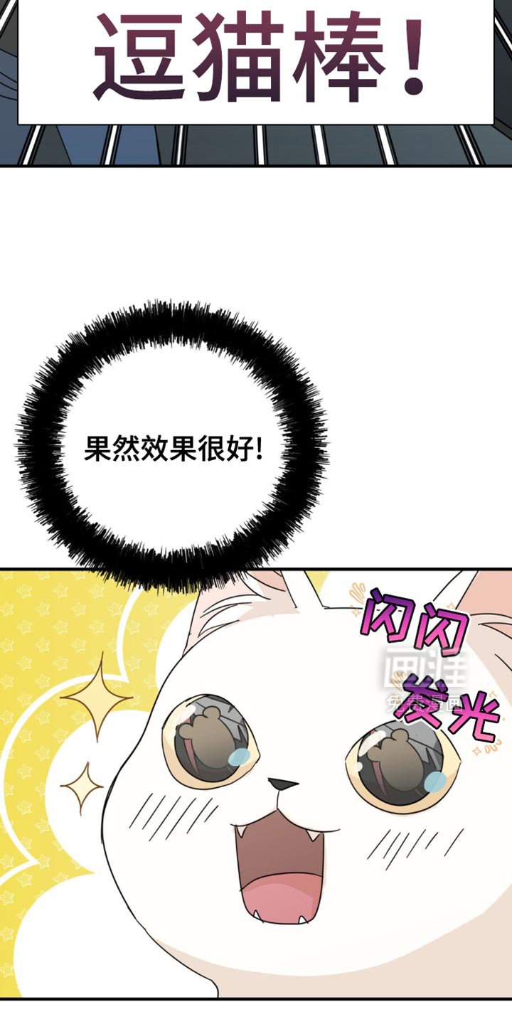第21章：告白？