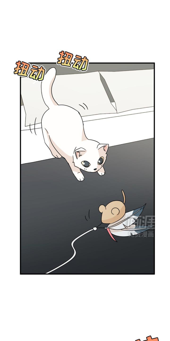第21章：告白？