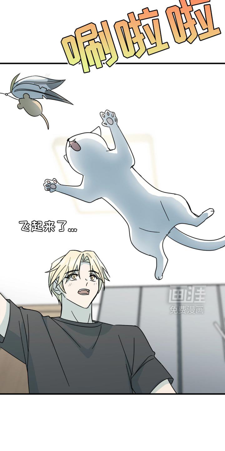 第21章：告白？