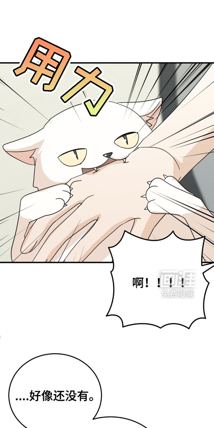 第21章：告白？