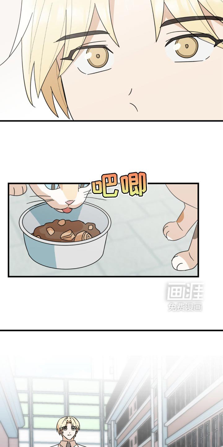 第21章：告白？