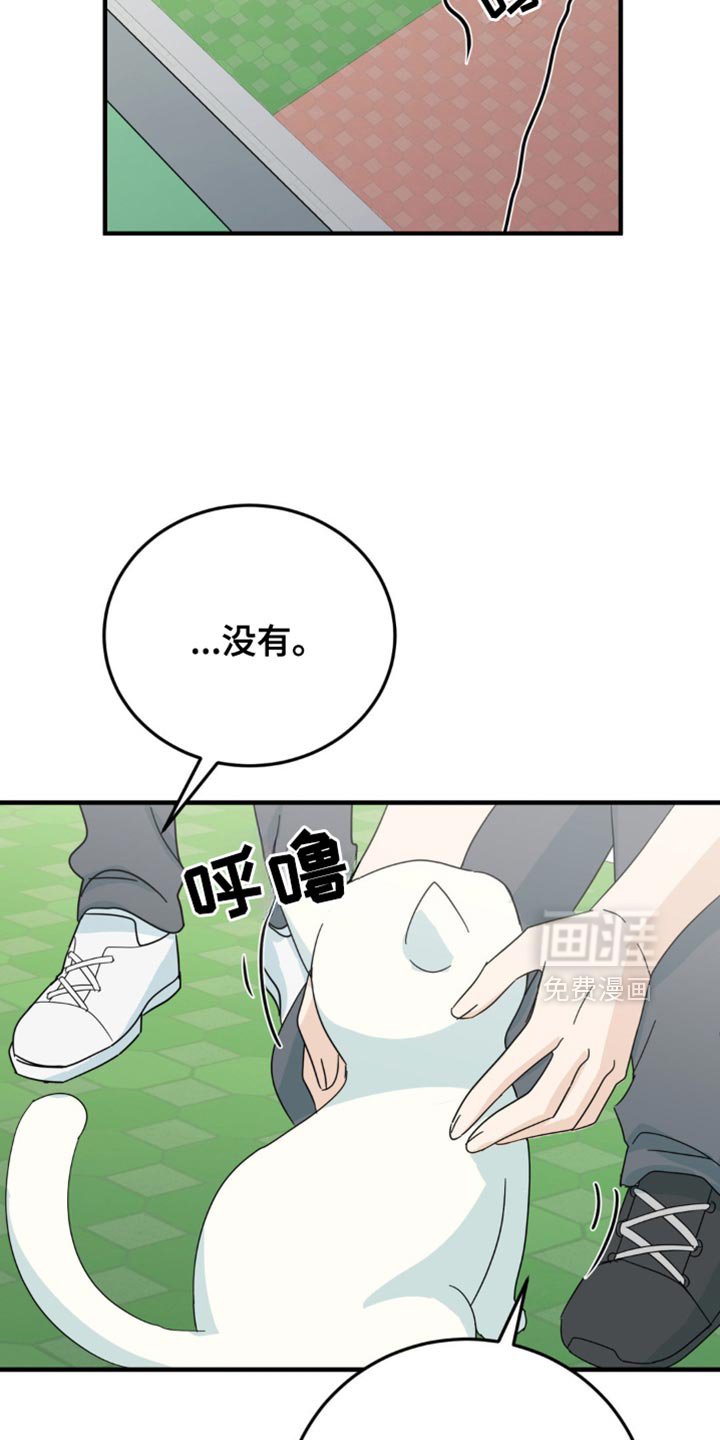 第22章：让人无语