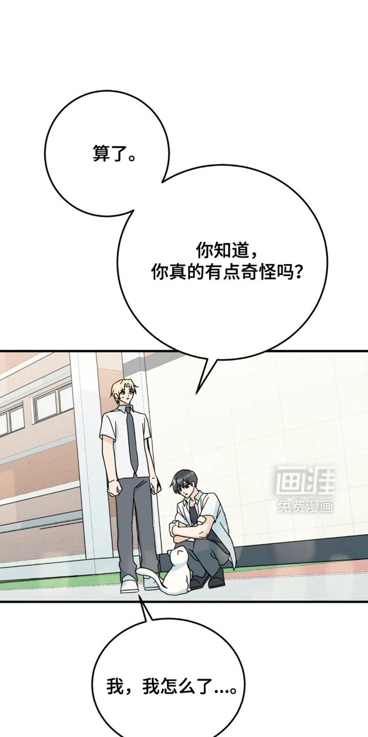第23章：我真的可以吗？