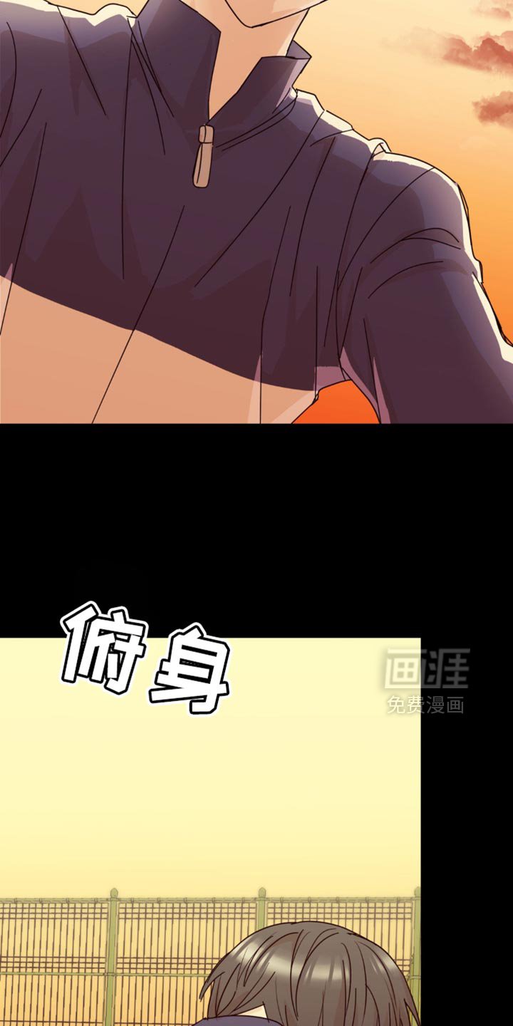 第28章：花心大萝卜