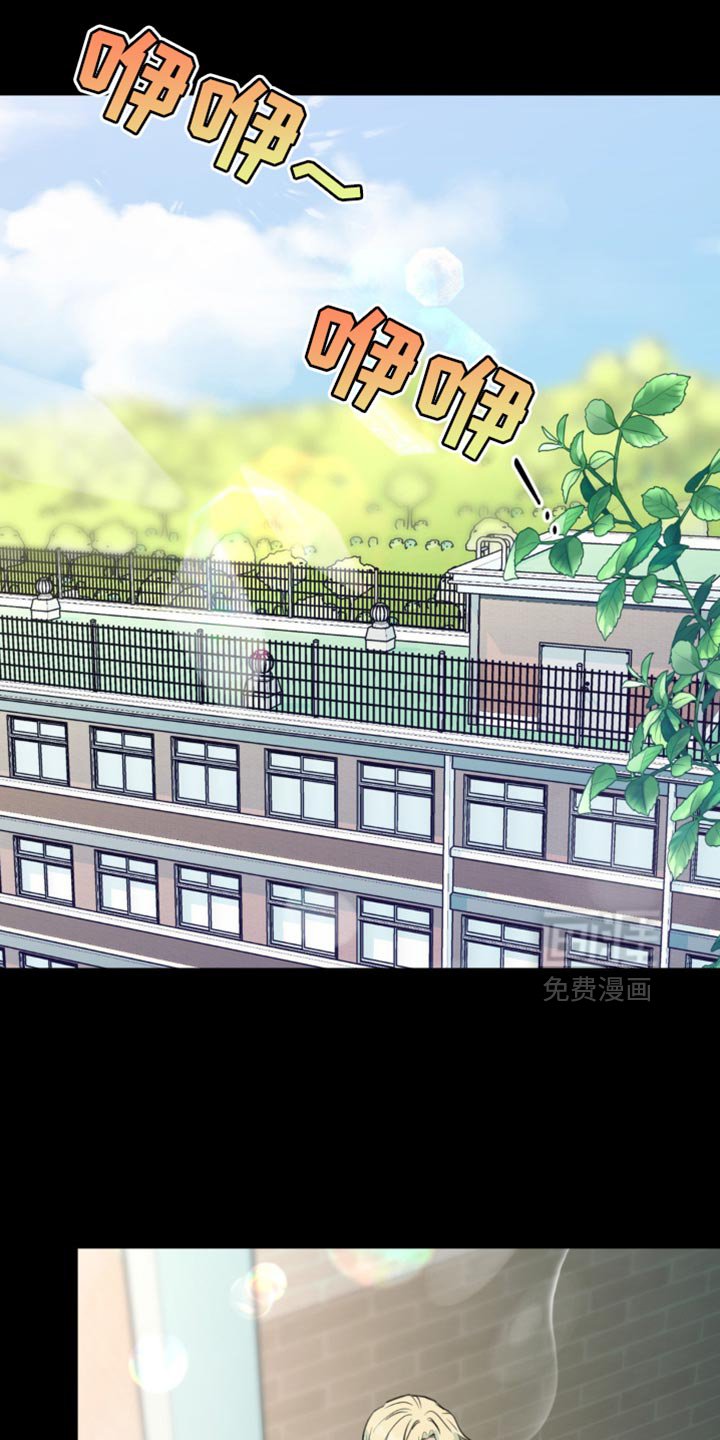 第42章：微妙的视线