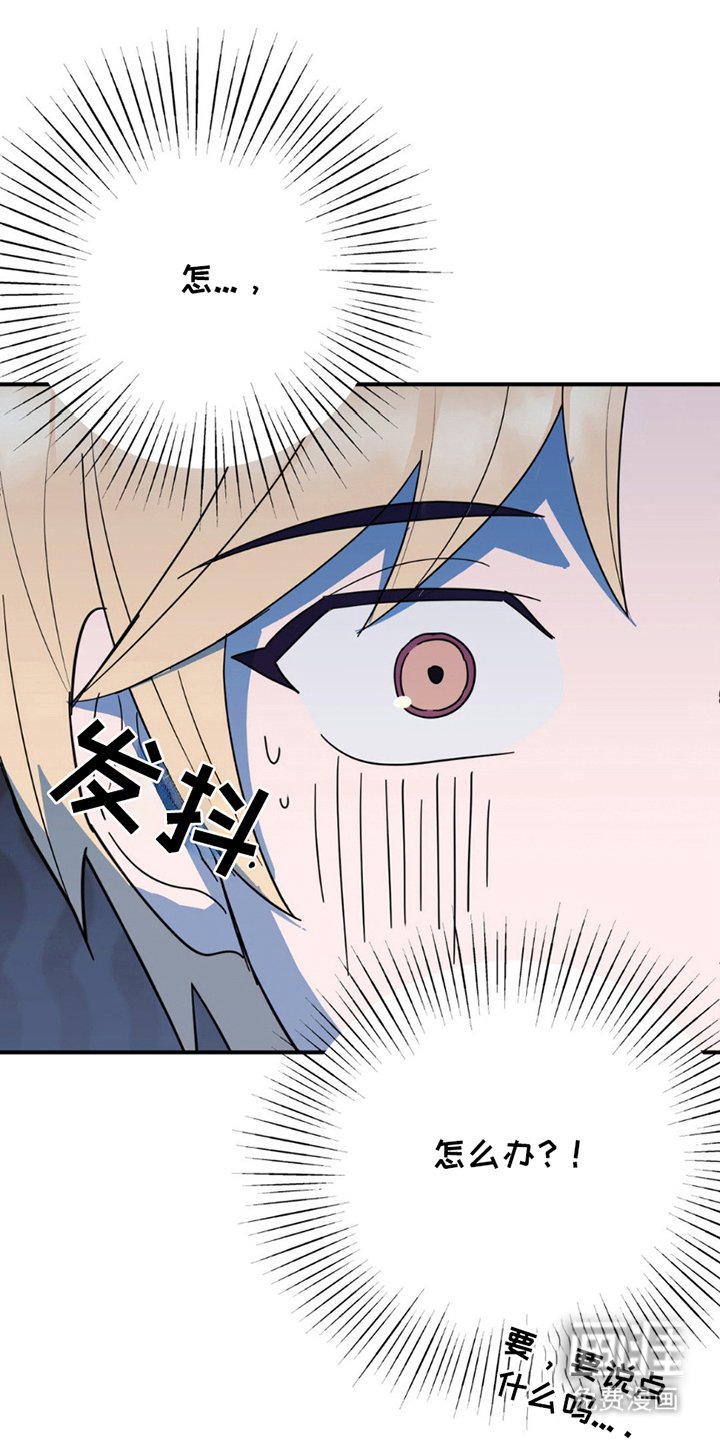 第5章：照片
