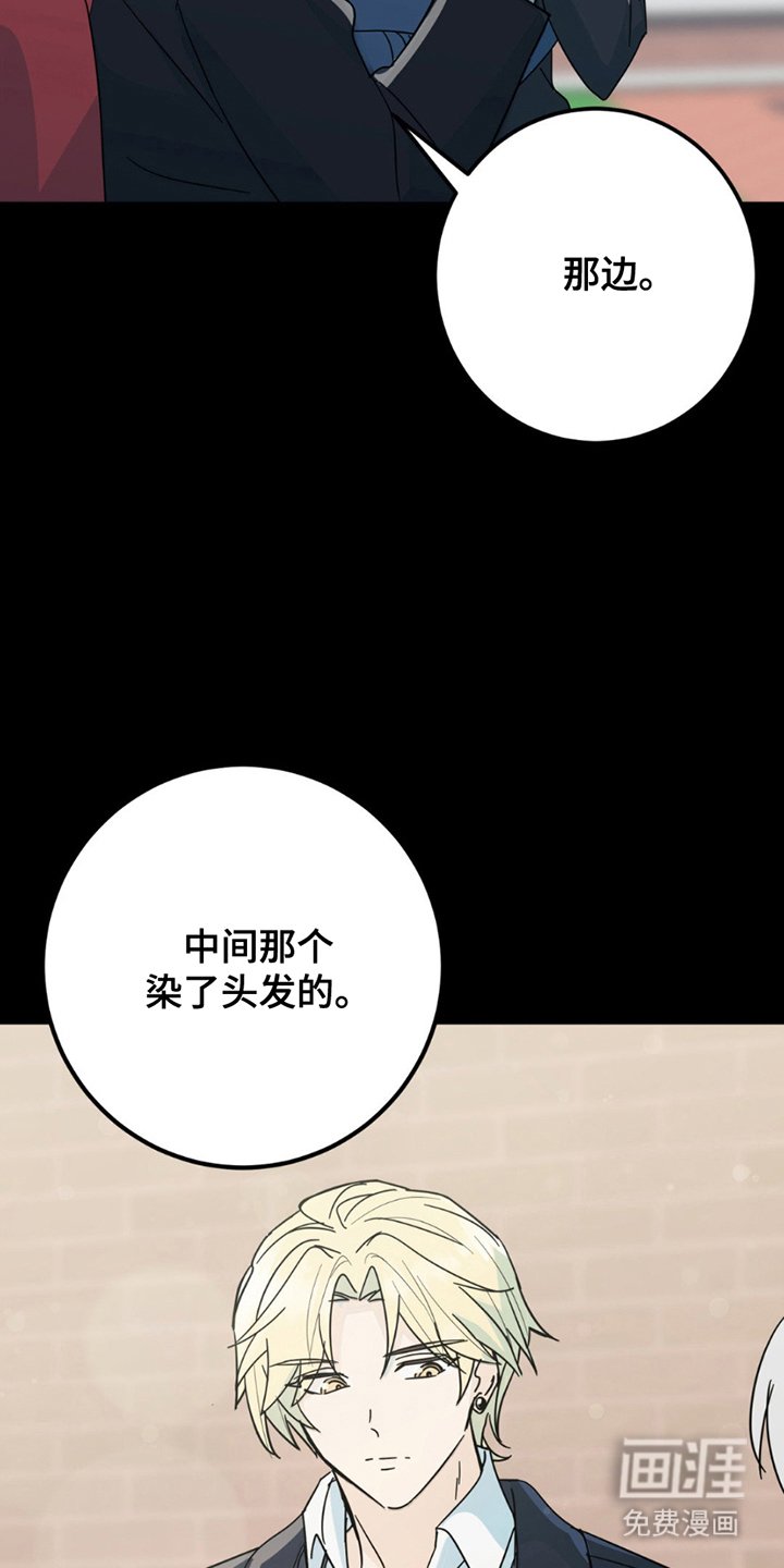 第5章：照片