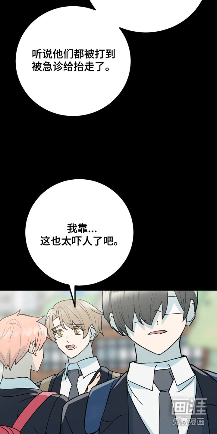 第5章：照片