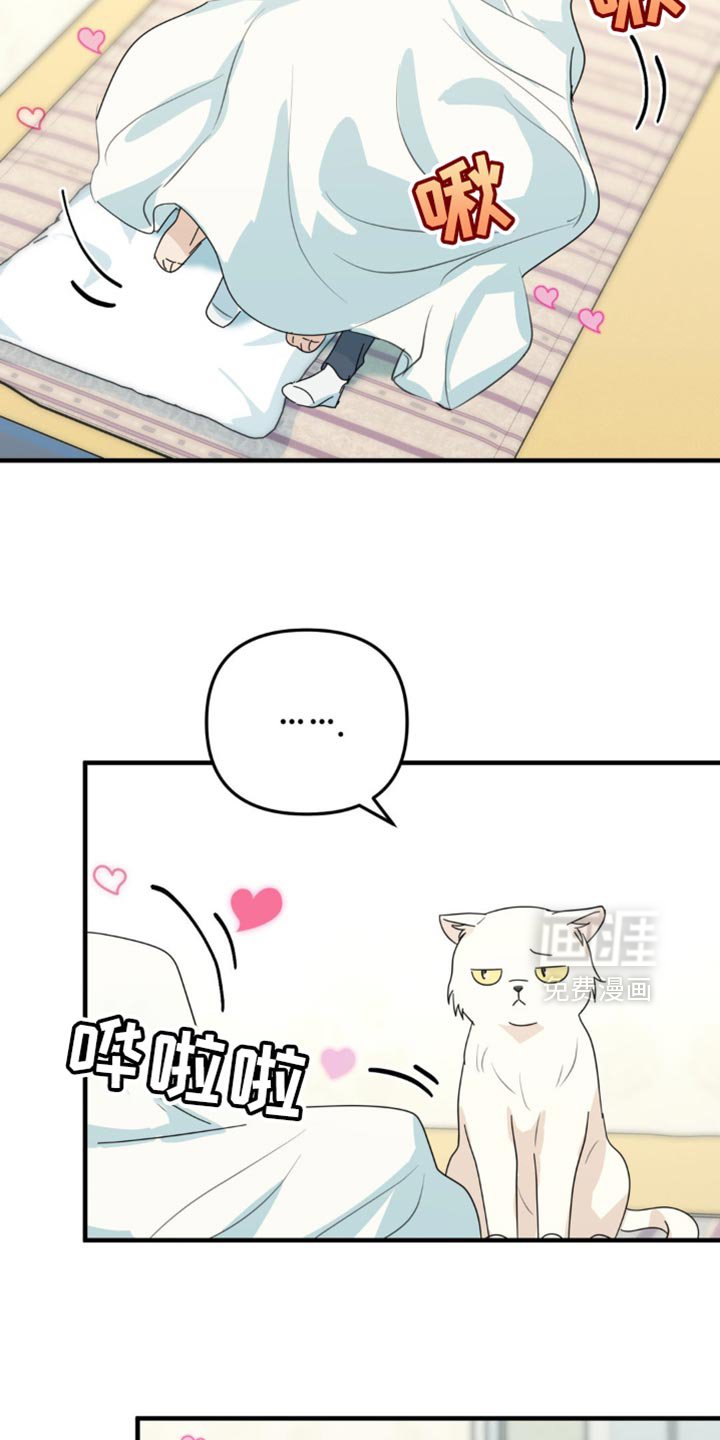 第65章：一点的温暖