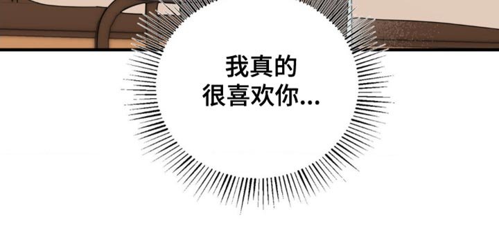 第68章：真的很喜欢你