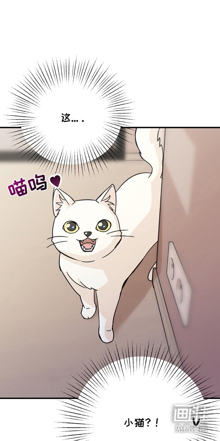 第8章：分出真假