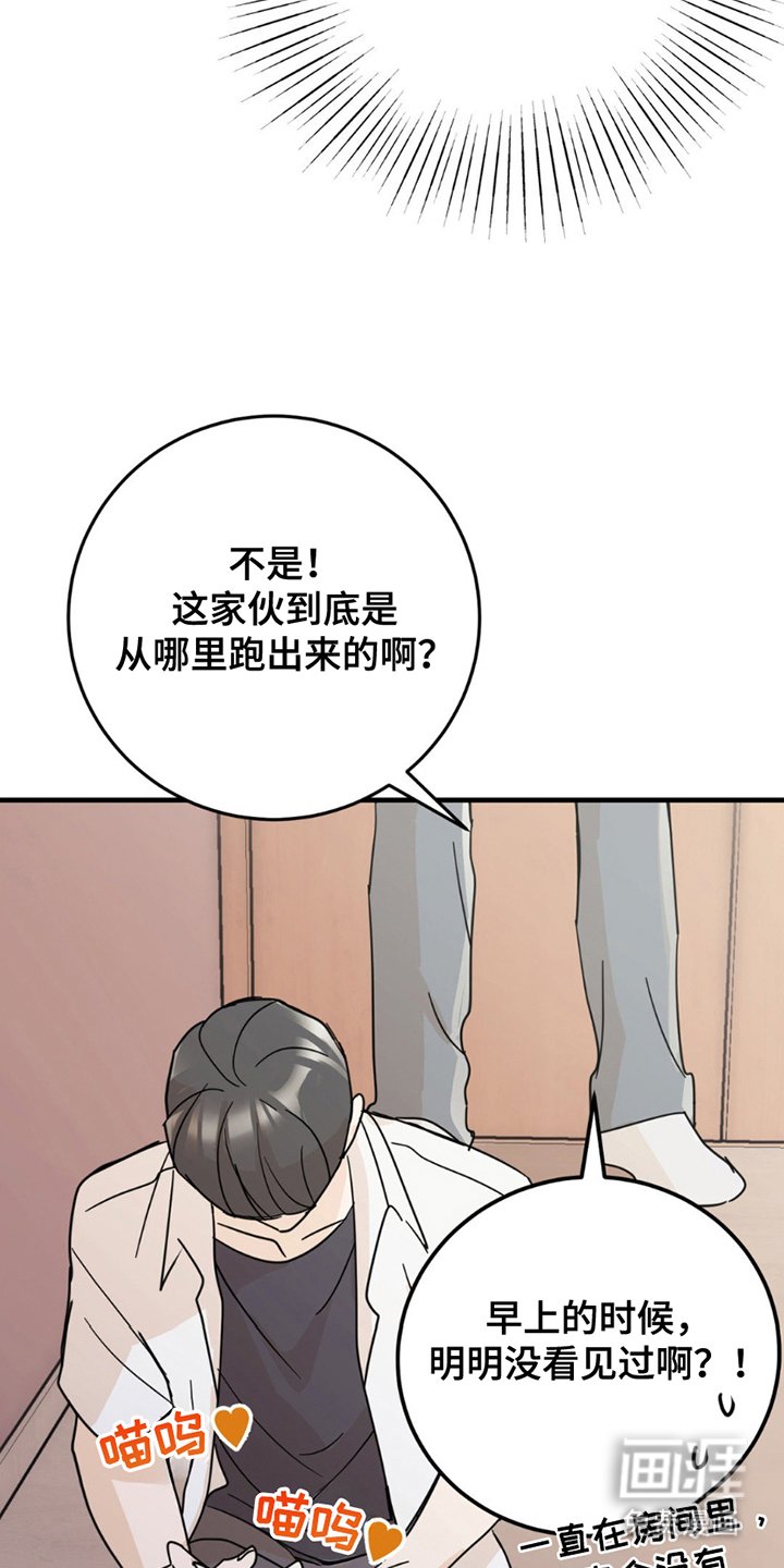 第8章：分出真假