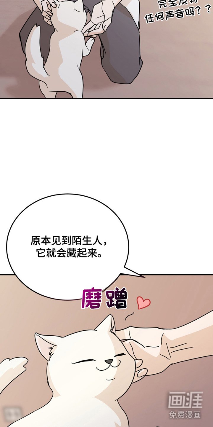 第8章：分出真假