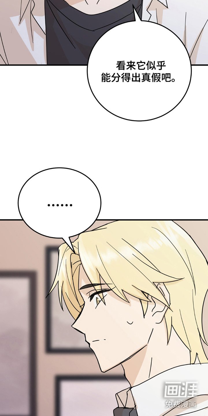 第8章：分出真假