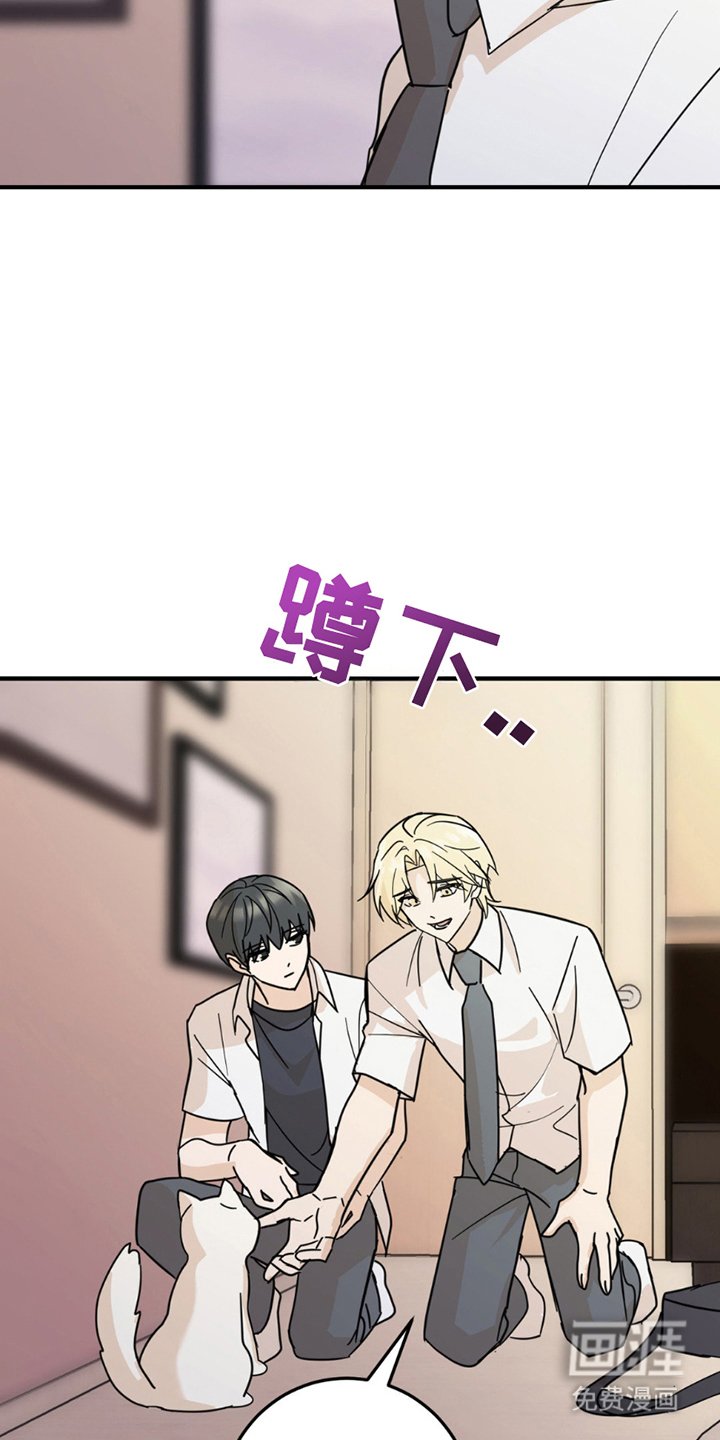 第8章：分出真假