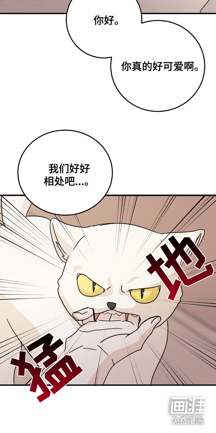 第8章：分出真假