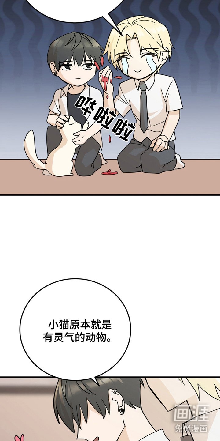 第8章：分出真假