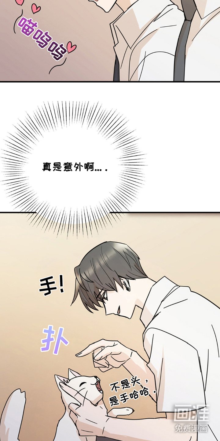 第8章：分出真假
