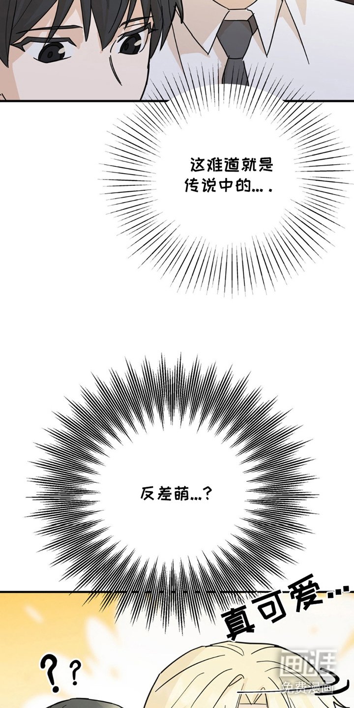 第8章：分出真假