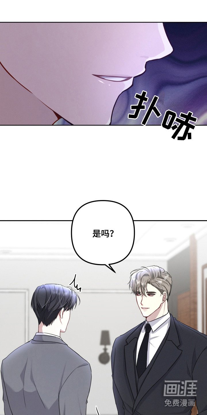 第12章：正式介绍