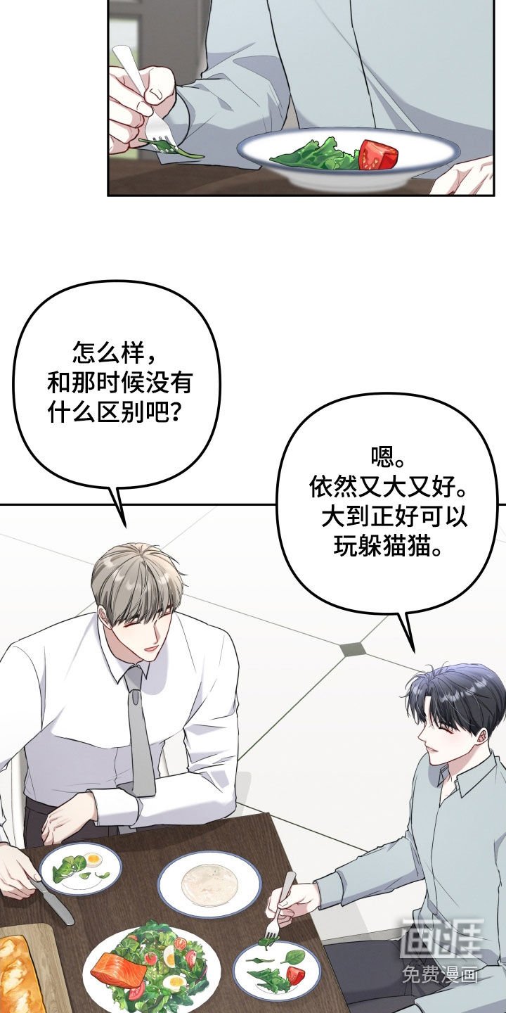 第17章：虫子咬的