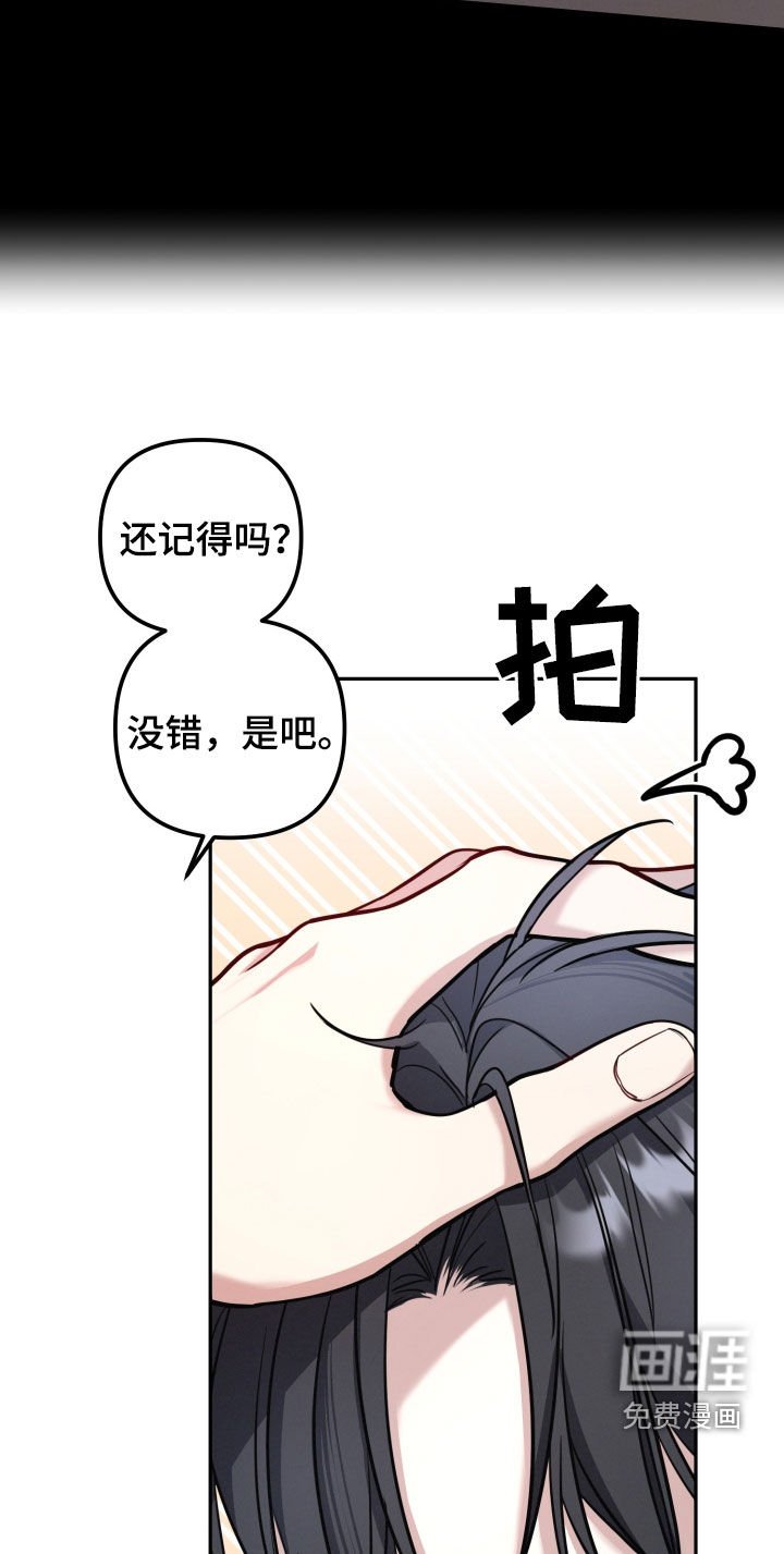 第17章：虫子咬的