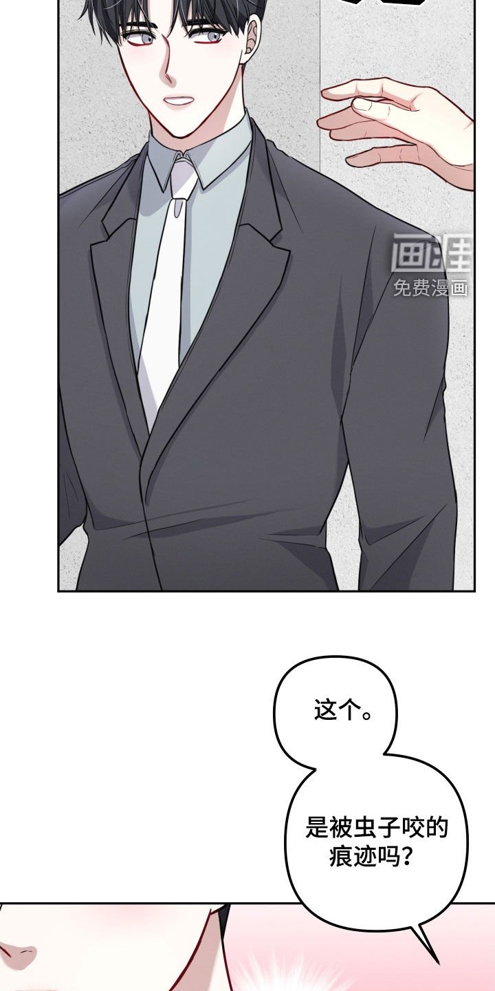 第17章：虫子咬的