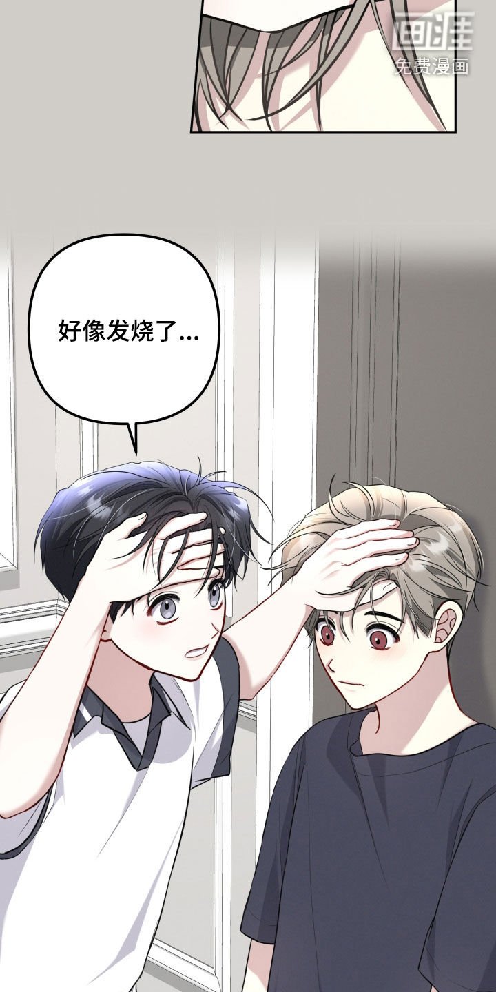 第20章：糖果