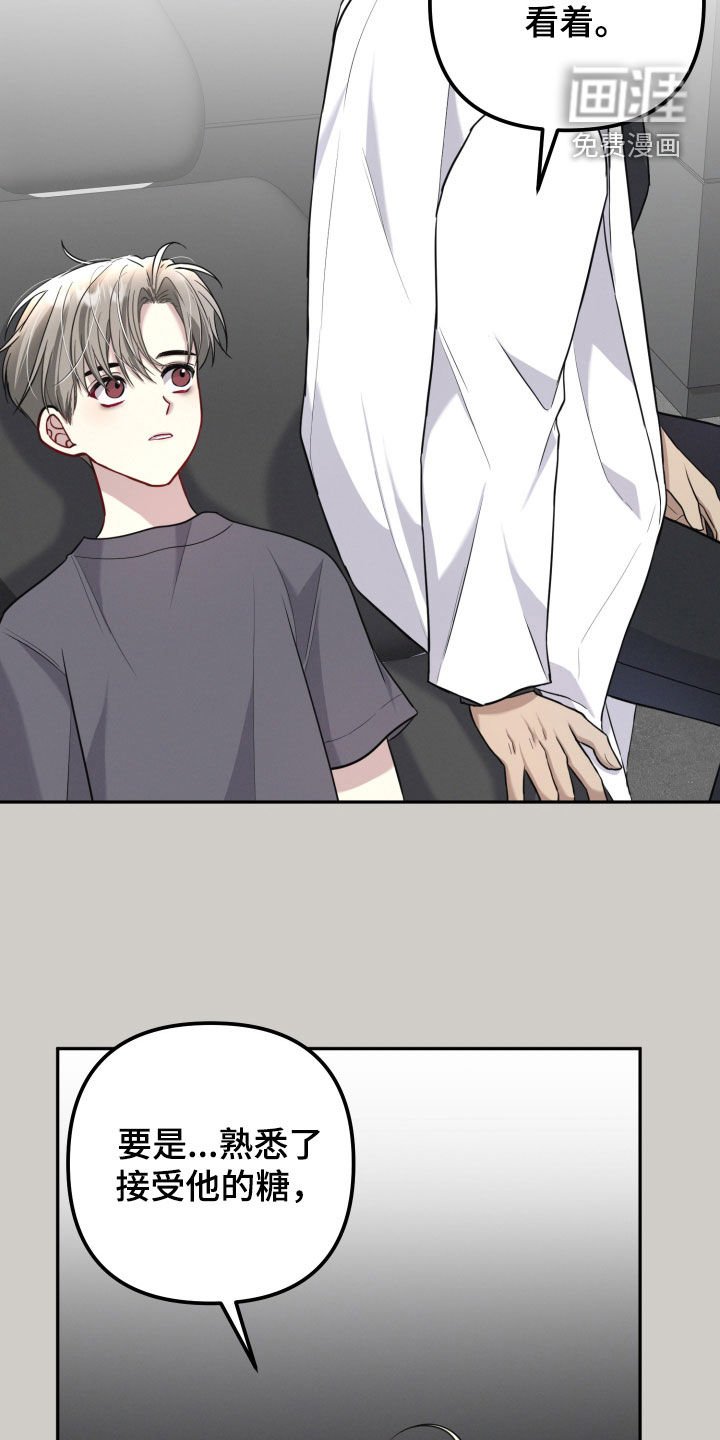 第20章：糖果