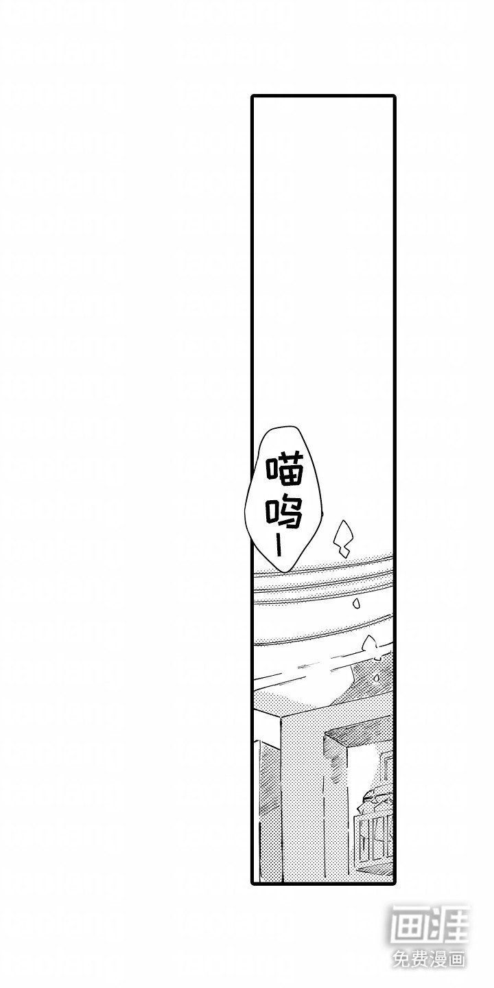 第14章：重新住下(完结）