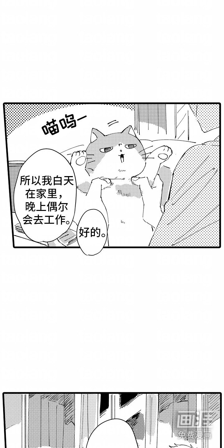 第3章：糟糕的厨艺