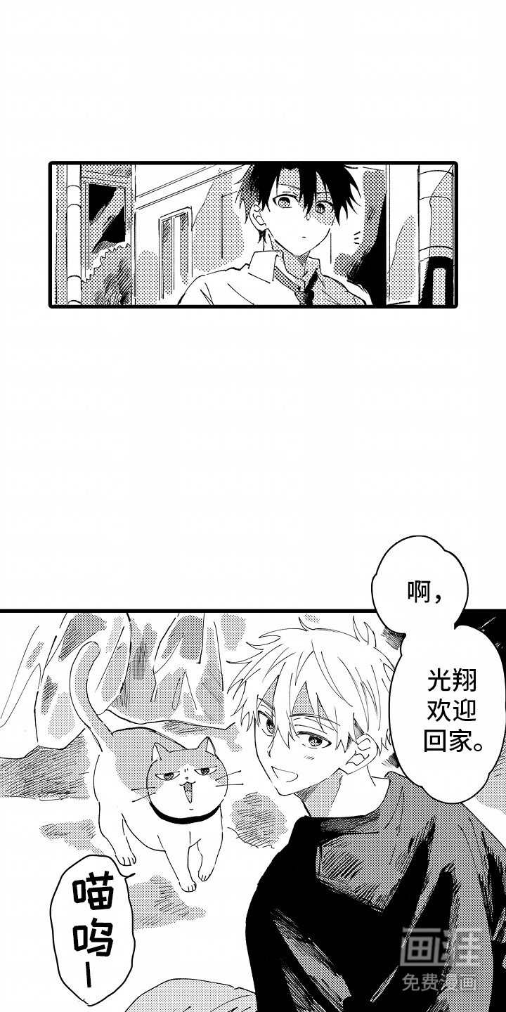第5章：安心