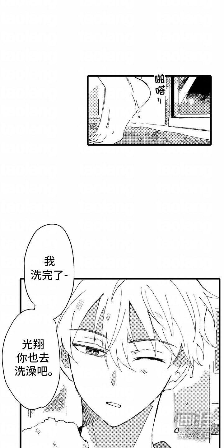 第6章：流浪猫