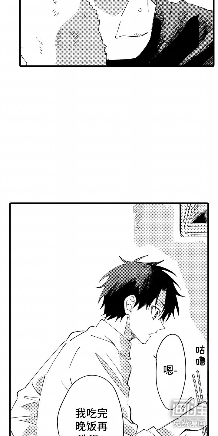 第6章：流浪猫