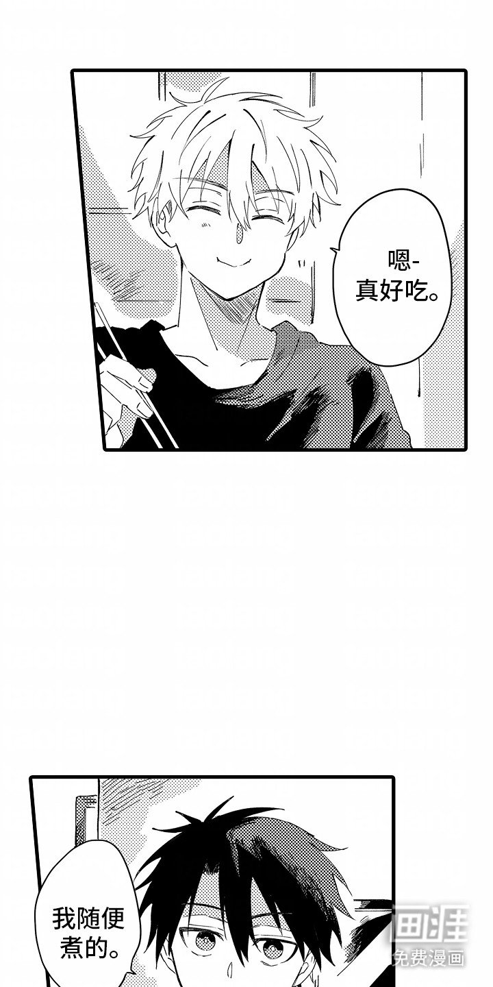 第6章：流浪猫