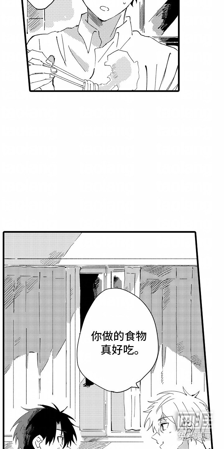 第6章：流浪猫