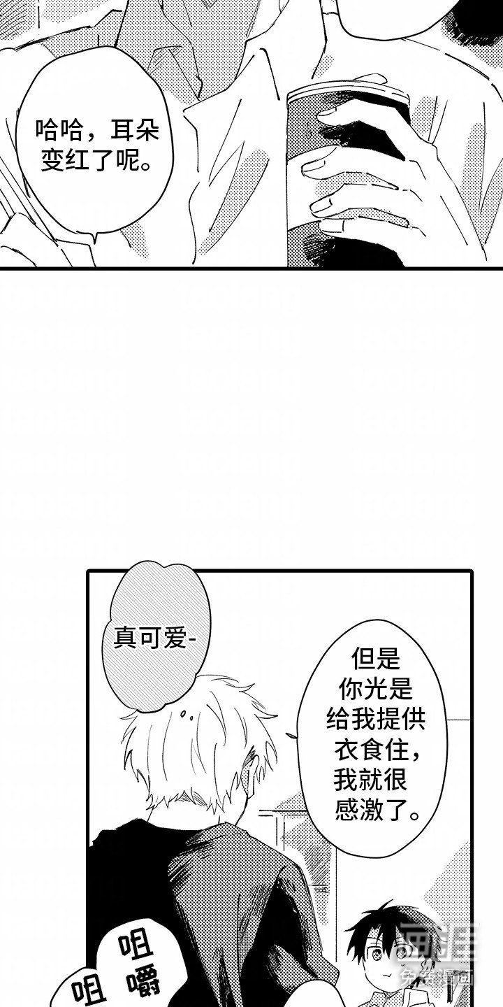 第6章：流浪猫