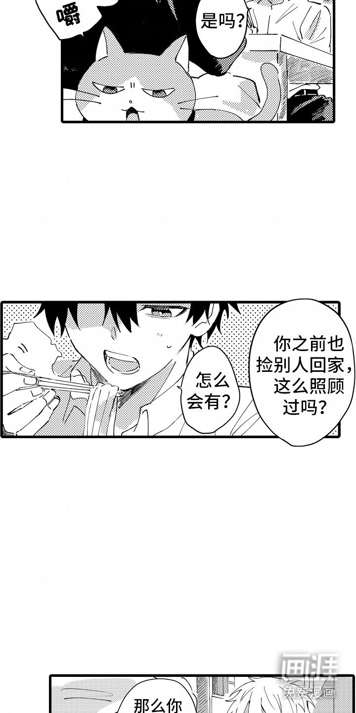 第6章：流浪猫