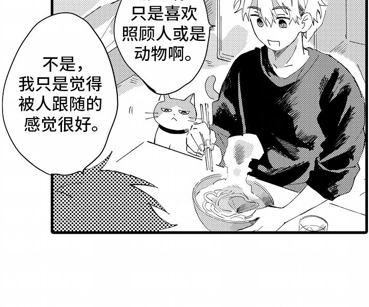 第6章：流浪猫