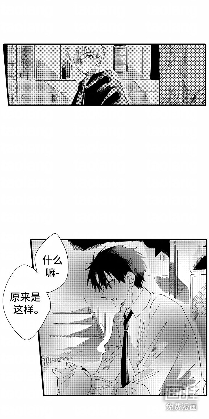 第6章：流浪猫