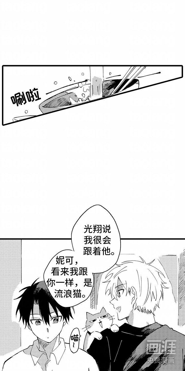 第6章：流浪猫