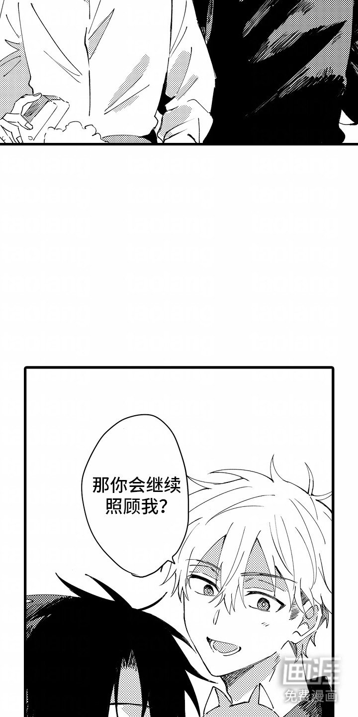 第6章：流浪猫