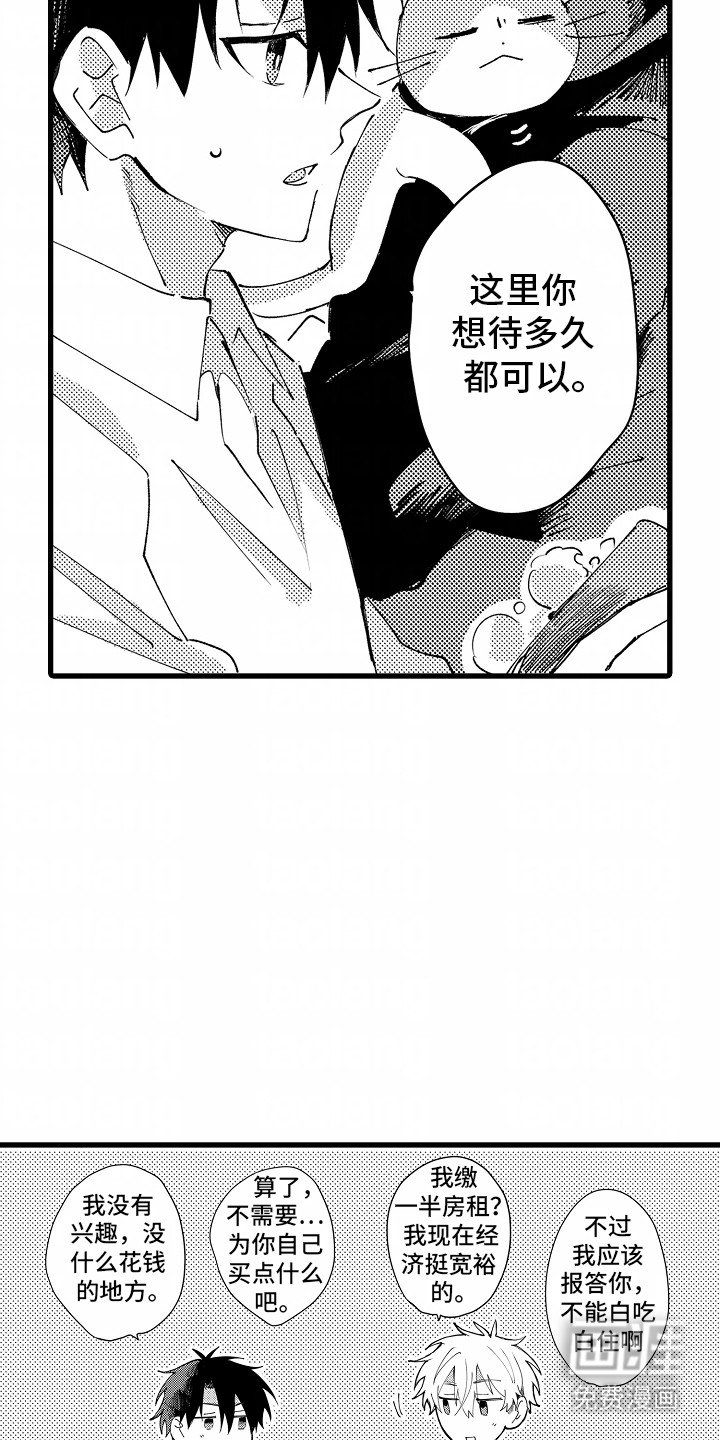 第6章：流浪猫