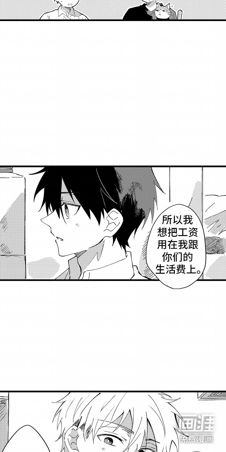 第6章：流浪猫