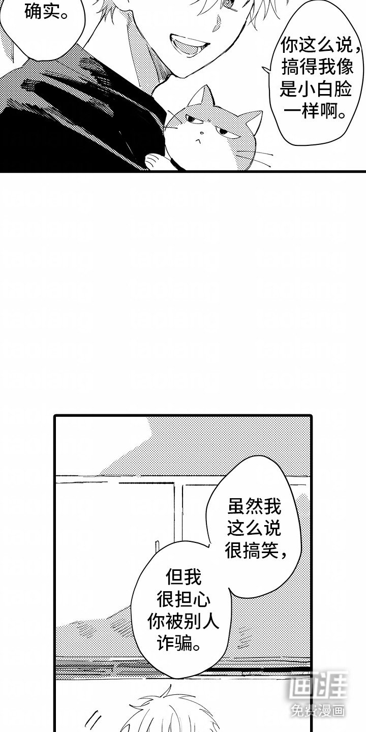第6章：流浪猫