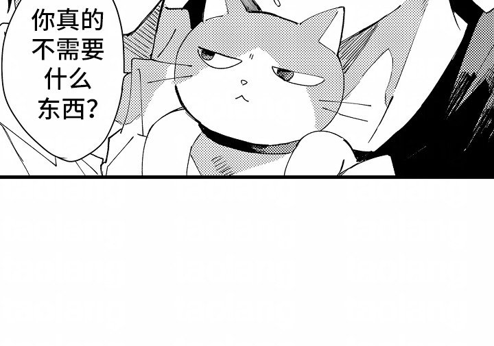 第6章：流浪猫